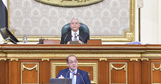 160 مليار جنيه لدعم السلع التموينية والخبز في موازنة 2025/2026