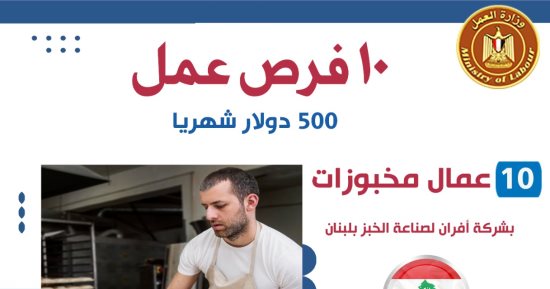 وزير العمل يُعلن عن وظائف فى لبنان لعمال مخبوزات وزراعيين براتب 500 دولار