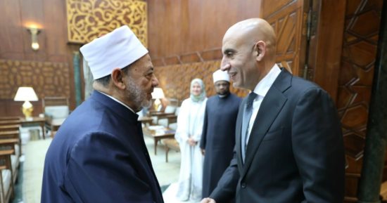 شيخ الأزهر ووزير التعليم يناقشان تضمين «وثيقة الأخوة الإنسانية» في المناهج