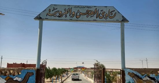 الوادى الجديد يحتضن سباق بغداد السنوي للهجن.. والمحافظة تتبنى صناعة الأبطال
