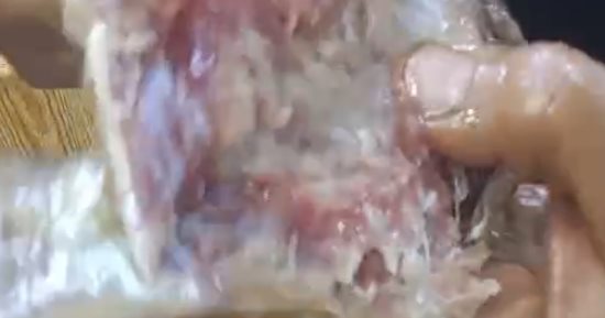 فسيخ كفر الشيخ لا يعلى عليه.. اعرف أسرار صناعة أحلى فسيخ.. فيديو