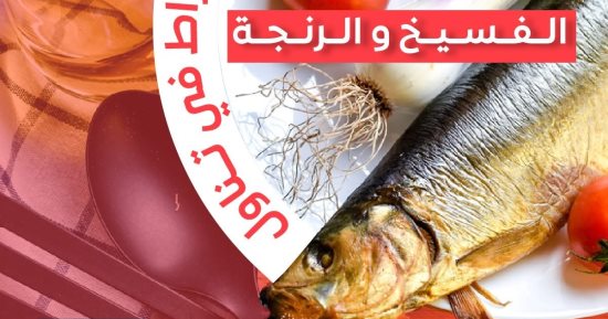 هيئة الدواء توصح أضرار الإفراط فى تناول الرنجة والفسيخ