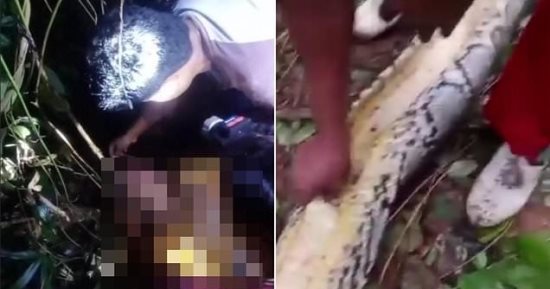 لحظة مرعبة لسيدة عُثر عليها ميتة ورأسها فى فم ثعبان طوله 23 قدمًا