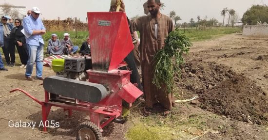 "زراعة بالمنيا": 89 ألف فدان بنجر هذا العام ومشروع STA يخدم صغار المزارعين
