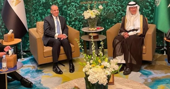 وزير الخارجية والهجرة يلتقي بوزير الطاقة السعودي