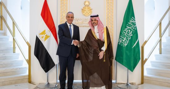 تأكيد مصري سعودي على أهمية حل الدولتين ورفض تهجير الفلسطينيين