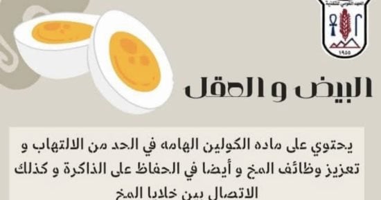 معهد التغذية يكشف فوائد وأهمية البيض لتغذية المخ .. انفوجراف