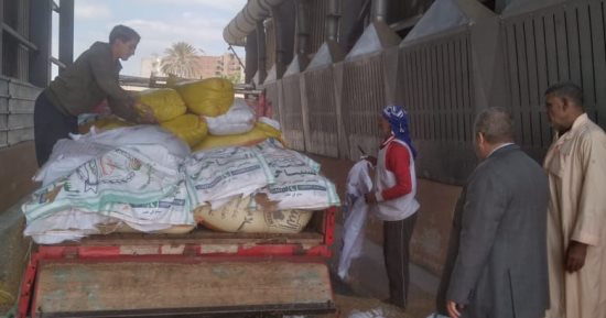 محافظ المنوفية: توريد ما يزيد عن ألف طن منذ بدء الموسم 