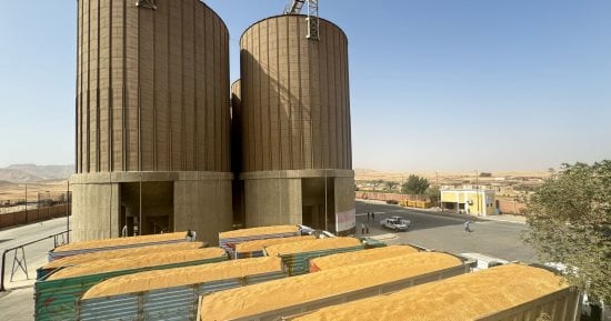 وزير الزراعة: حصاد 2.5 مليون فدان قمح بالمحافظات من إجمالي 3.1 مليون.. توقعات بوصول الإنتاجية إلى 10 ملايين طن.. وتقديم كافة التيسيرات للمزارعين خلال عمليات التوريد وحصولهم على مستحقاتهم خلال 48 ساعة