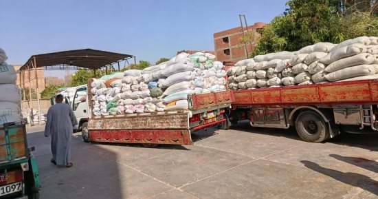 كفر الشيخ: توريد 35258 طنا من القمح بصوامع كفر الشيخ