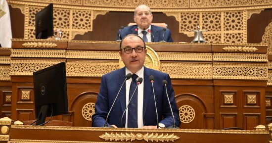 محمد شيمى: 74 مليار جنيه حجم الإيرادات المتوقعة للقابضة المعدنية العام المقبل