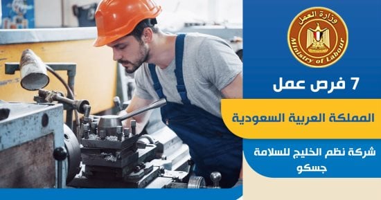 وزير العمل يعلن عن فرص عمل جديدة في السعودية بمرتبات تصل إلى 4000 ريال.. تفاصيل