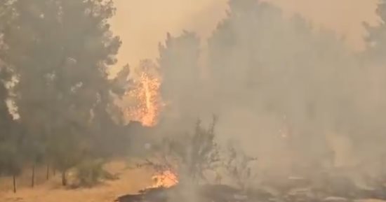 إسرائيل تحترق.. النيران تشتعل فى بيت شيمش والمستوطنات بسبب حرارة الجو.. فيديو