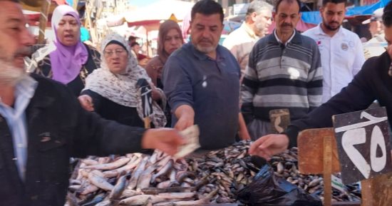 حلقة عزبة البرج.. مركز توزيع الأسماك الطازجة يوميا من الرابعة فجرا