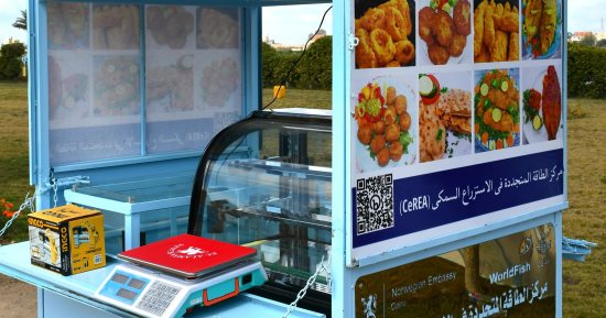 المركز الدولي للأسماك ينظم ورشة عمل لتدريب السيدات بائعات الأسماك