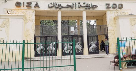 رحلة واحدة.. كيف سيغير "النفق الجديد" تجربة التنزه بحديقتى الحيوان والأورمان؟