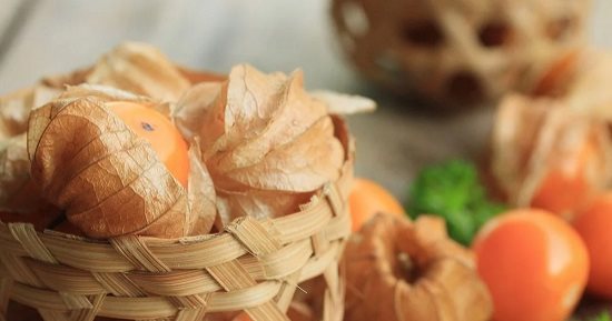 بيخسس ويجدد خلايا البشرة.. اعرفى فوائد الحرنكش لجمالك