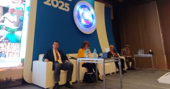 الشبكة نيوز : 
                                            أستاذ باطنة: زيت الزيتون والمكسرات واللب الأبيض تحتوى على دهون تحمى من 