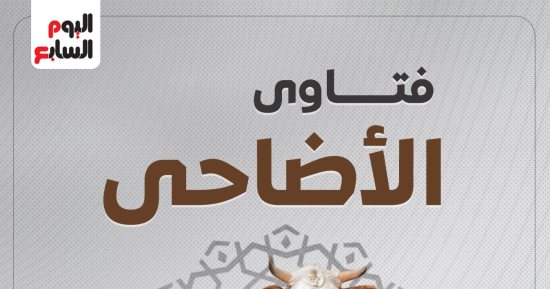 فتاوى الأضاحى..لو هتشترى أضحية شروط شرعية يجب توافرها بالذبيحة