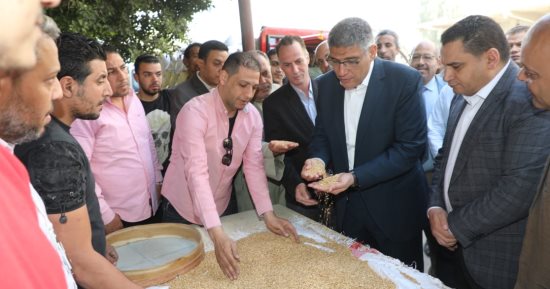 محافظ الجيزة: توريد 44 ألف طن قمح حتى الآن بالصوامع والشون