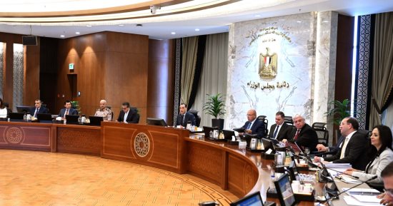 مجلس الوزراء يقرر تعديل قائمة أنواع الكلاب الخطرة من 16 نوعا لـ3 فقط
