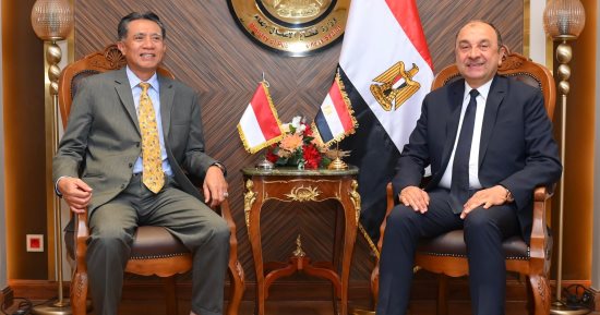 وزير قطاع الأعمال العام يستقبل سفير إندونيسيا بالقاهرة لبحث فرص التعاون