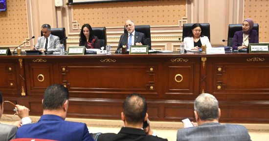 لجنة التضامن بمجلس النواب: الرئيس السيسي أكبر داعم لذوى القدرات الخاصة
