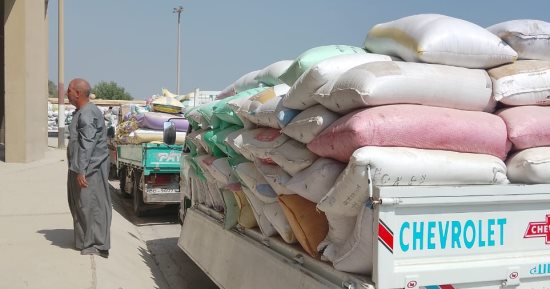 محافظ الجيزة: استلام 66 ألف طن قمح بمراكز التوريد والتخزين منذ بداية الحصاد