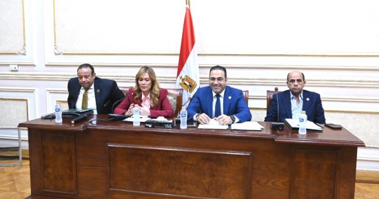 لجنة الشباب بالنواب توافق على الموازنة الجديدة للأكاديمية الوطنية للتدريب