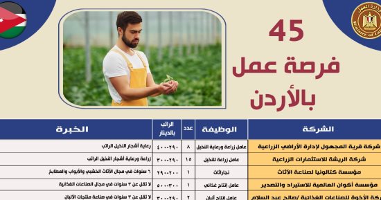 فرص عمل جديدة بالأردن بمرتبات تصل إلى 500 دينار شهريا