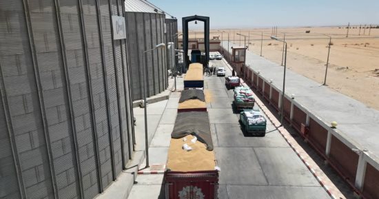 تعرف على تفاصيل خدمات مديرية التموين بالأرقام فى الدقهلية
