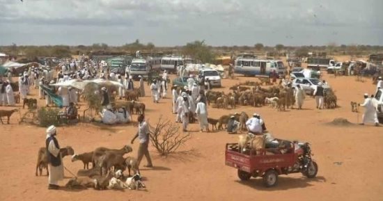نزوح أكثر من 7 آلاف أسرة من مدينتي النهود والخوى غرب كردفان بالسودان