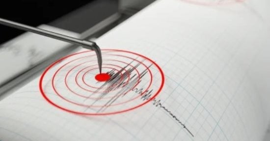 هل تتنبأ الحيوانات بالزلازل أم أنها خرافة.. خبير يوضح