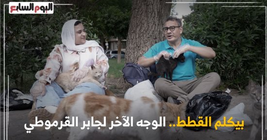 جابر القرموطي يكشف لتليفزيون اليوم السابع سر تجوله فى الشوارع لإطعام القطط والكلاب