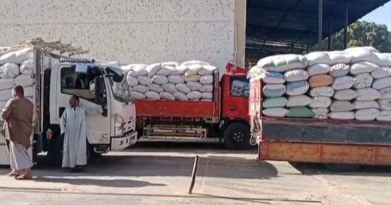 توريد 8500 طن و352 كيلو قمح لشون وصوامع إسنا وأرمنت حتى الآن.. صور