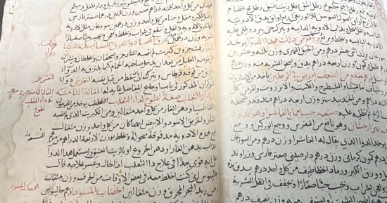 مخطوطات تاريخية نادرة.. وصفات دوائية لـ بن سيناء تعود للقرن الـ14