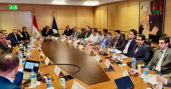 مناقشة المنظومة الجديدة للحصول على التأشيرة الاضطرارية عند منافذ الوصول الجوية المصرية