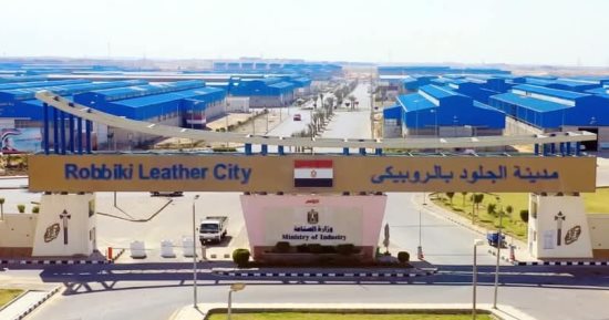 المجلس التصديري للجلود: إنتاج العيد يعادل إنتاج عام كامل ويجب استغلاله