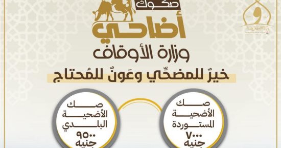 صكوك أضاحي وزارة الأوقاف.. تعرف على تفاصيل القيمة وأماكن الشراء