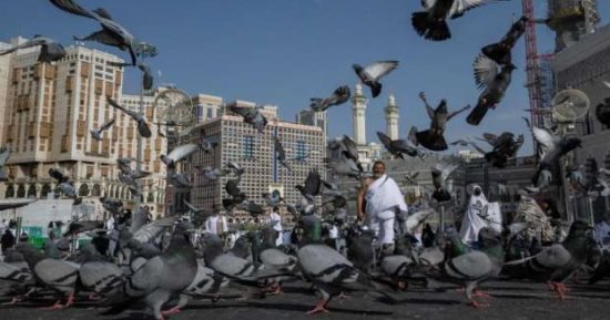 "حمام الحمى" بالحرم يخطف الأنظار فى بث مباشر عبر "تليفزيون اليوم السابع"