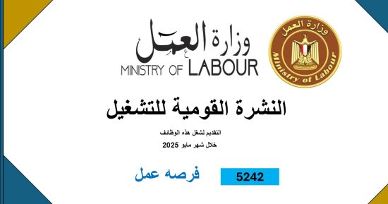 وزارة العمل: 5242 فرصة عمل جديدة فى 50 شركة خاصة بـ8 محافظات