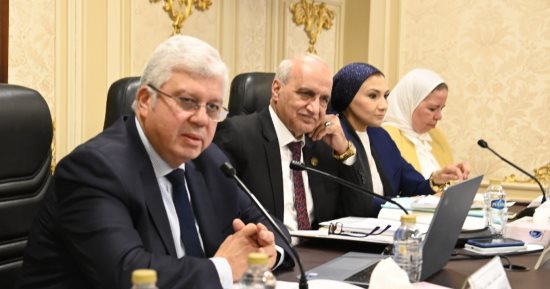 وزير التعليم العالى: كل دولار يتم وضعه فى البحث العلمى عائده  3 أضعاف للدولة