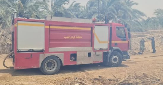 الدفاع المدنى بالوادى الجديد يسيطر على حريق مزرعة نخيل بقرية القصر.. صور