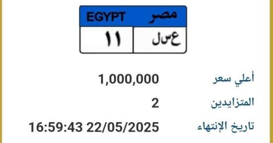 سعرها وصل مليون جنيه.. طرح لوحة سيارة مميزة رقمها "ع سـ ل 11" بالمزاد