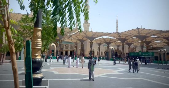 رئيس بعثة الحج: وصول 5850 حاجا مصريا للمدينة المنورة وبدء وصول الرحلات لمكة 