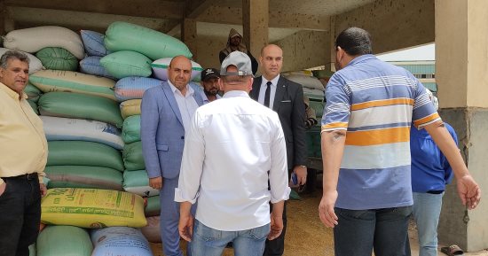 توريد 195 ألفًا و199 طن من الأقماح المحلية بكفر الشيخ