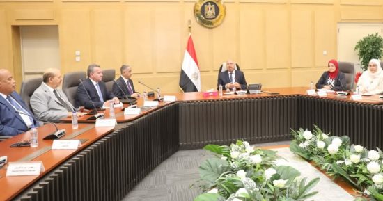 وزير الصناعة: طرح رخص بليت وخطة لدعم المصانع الوطنية وتعميق صناعة الحديد