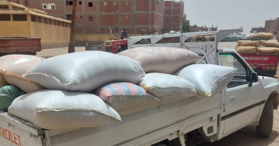 ضبط 6 أطنان قمح مسوس وتحرير 571 محضرا خلال حملات تموينية مكثفة بأسيوط