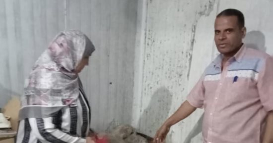 محافظة الجيزة تضبط 25 طن مصنعات لحوم ودواجن فاسدة