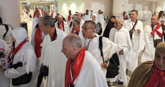 وزارة التضامن: وصول 6779 حاجًا من حجاج الجمعيات الأهلية للأراضي المقدسة